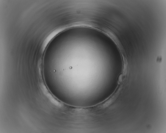 X0000110980812200906191402