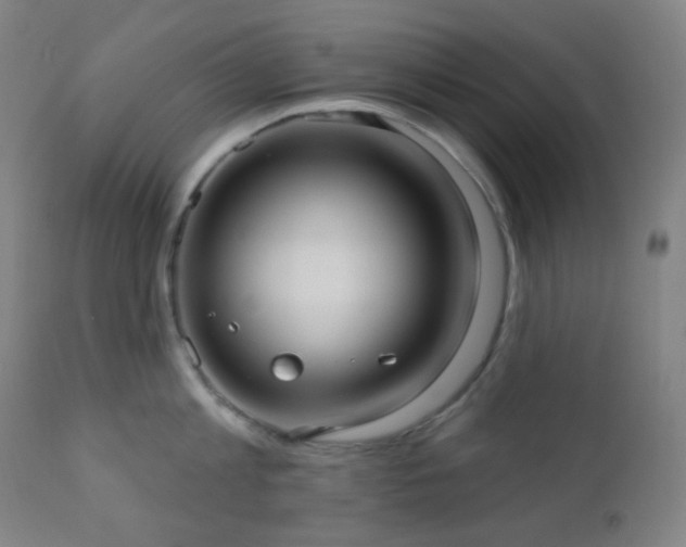 X0000110980813200906191402