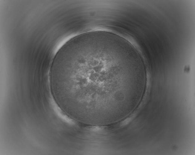 X0000110980814200906191402