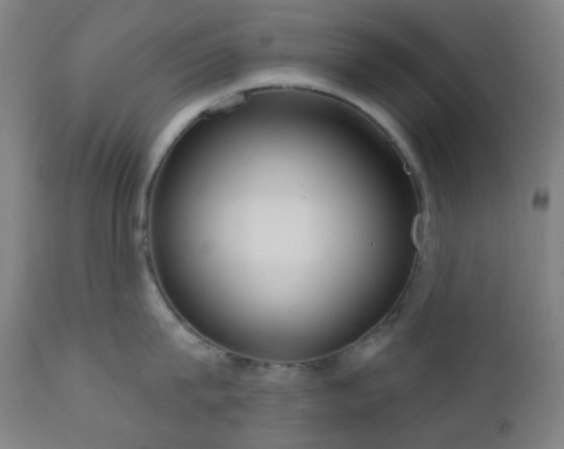 X0000110980815200906191402