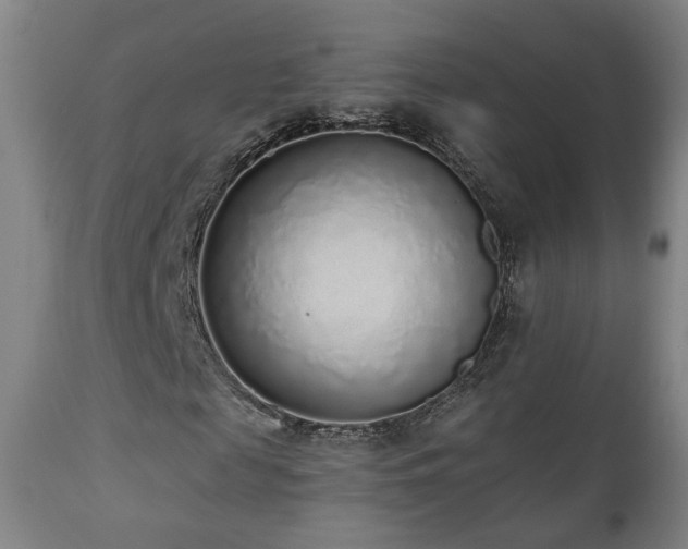 X0000110980817200906191401