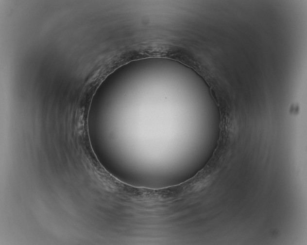 X0000110980818200906191401