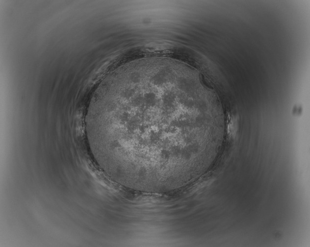 X0000110980819200906191401