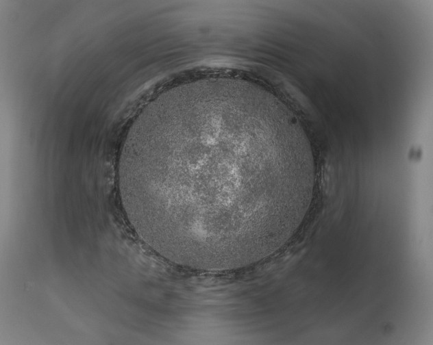 X0000110980821200906191401