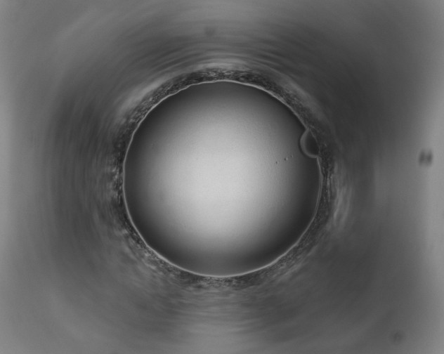 X0000110980822200906191401