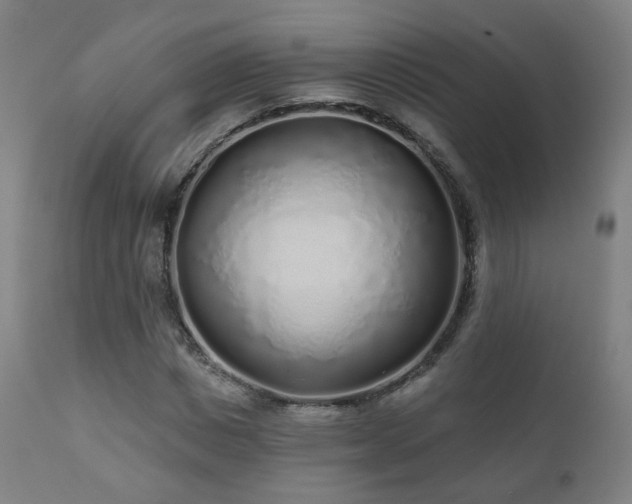 X0000110980825200906191401