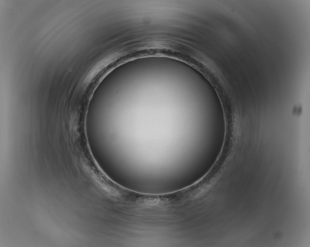 X0000110980826200906191401