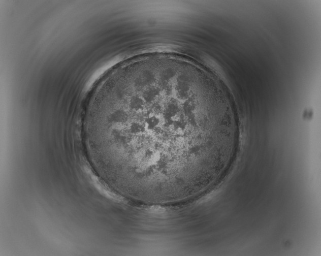 X0000110980827200906191401