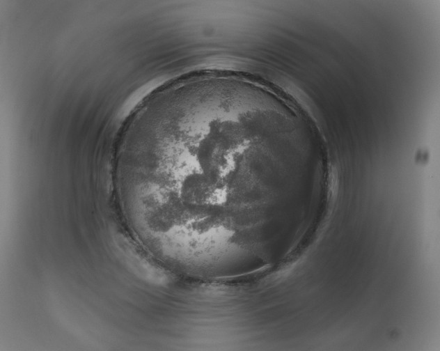 X0000110980829200906191402