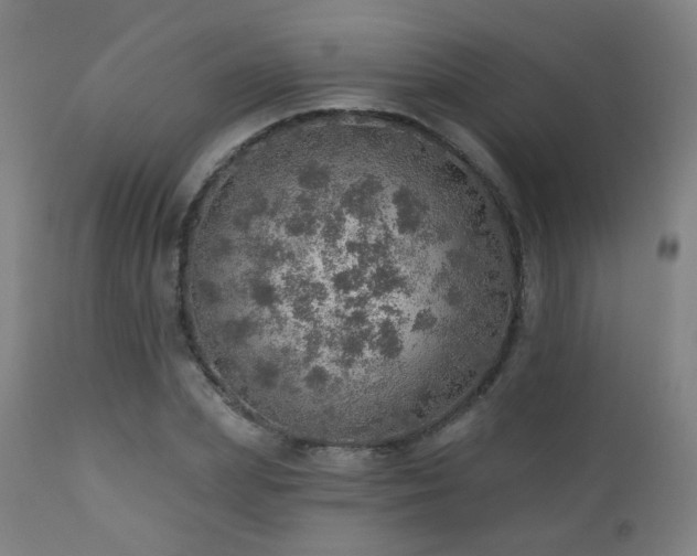 X0000110980831200906191402