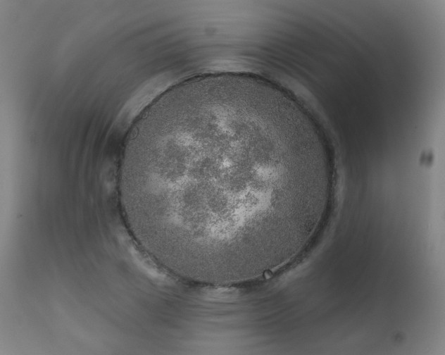 X0000110980833200906191402