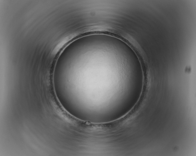 X0000110980834200906191402