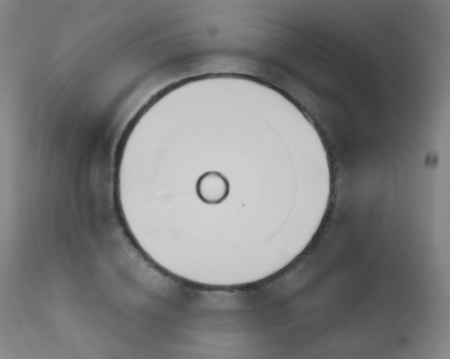 X0000110980836200906191402