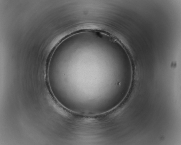 X0000110980837200906191402