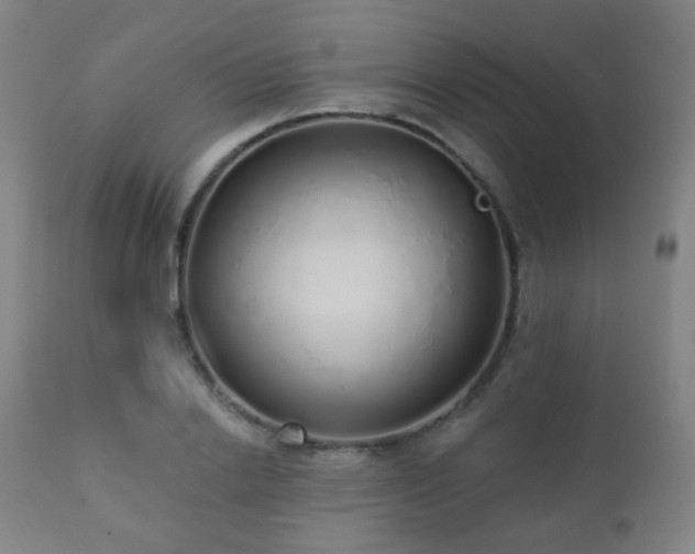 X0000110980838200906191402