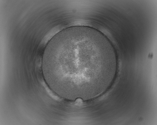 X0000110980841200906191402