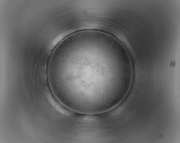 X0000110980842200906191402