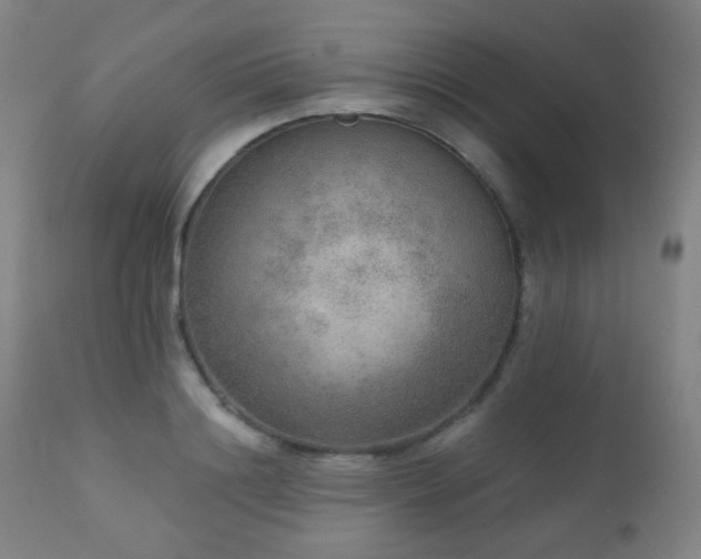 X0000110980844200906191402