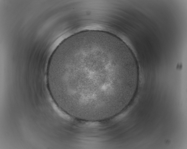 X0000110980845200906191402