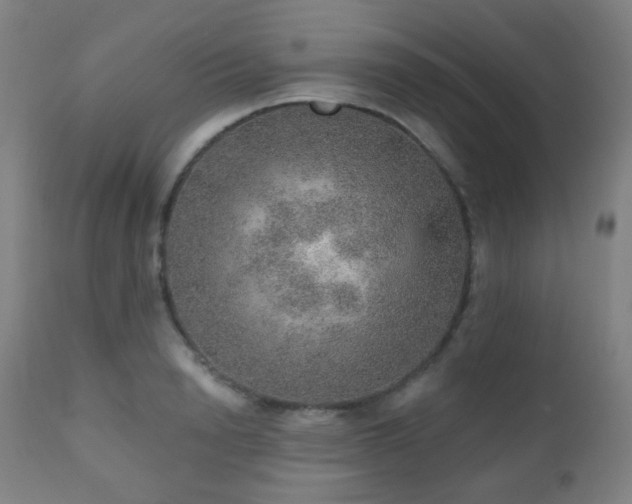 X0000110980846200906191402