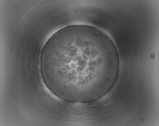 X0000110980847200906191402