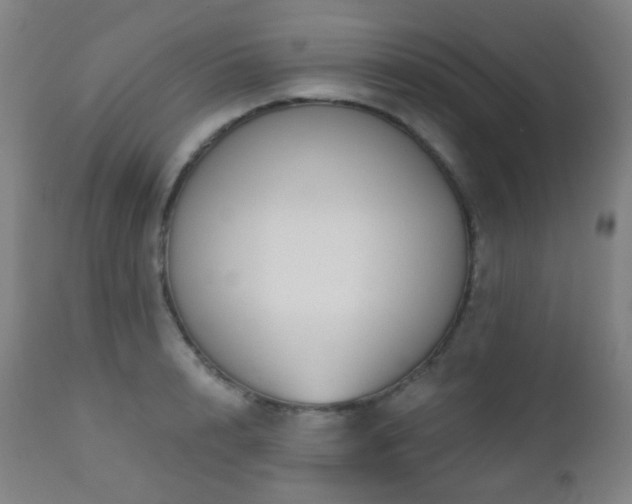 X0000110980848200906191402