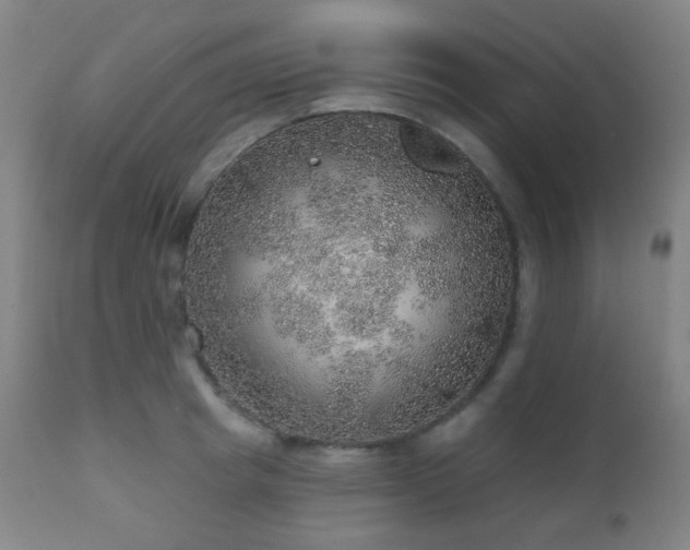 X0000110980849200906191402