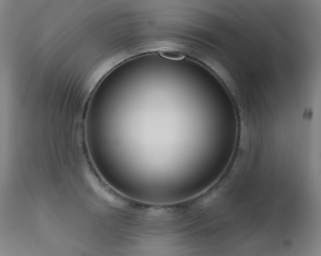 X0000110980850200906191402