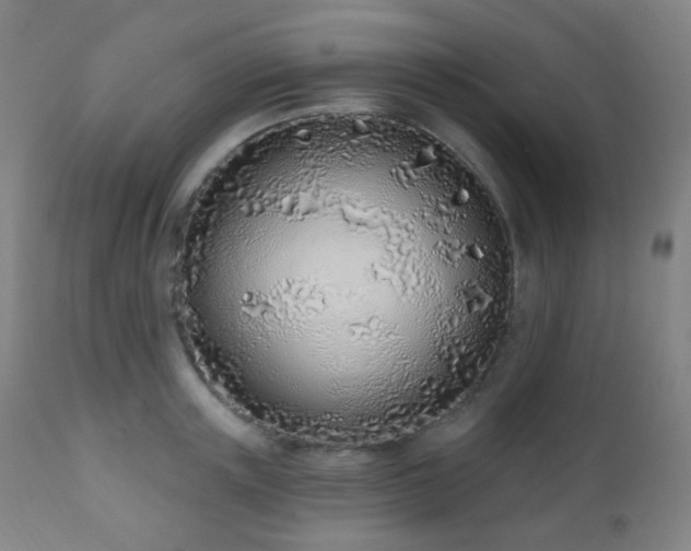 X0000110980851200906191402