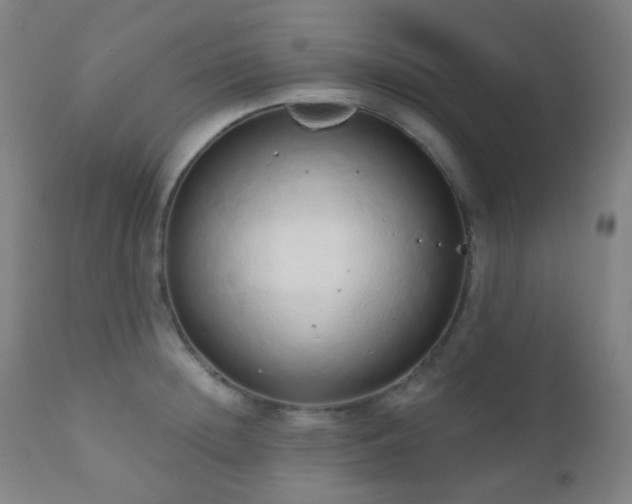 X0000110980852200906191402