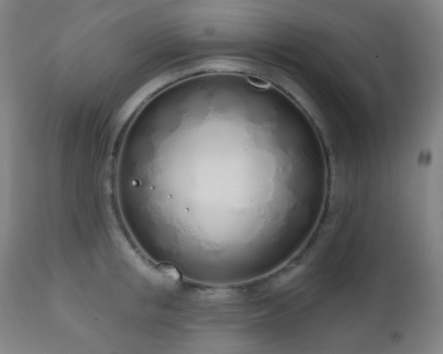 X0000110980853200906191402