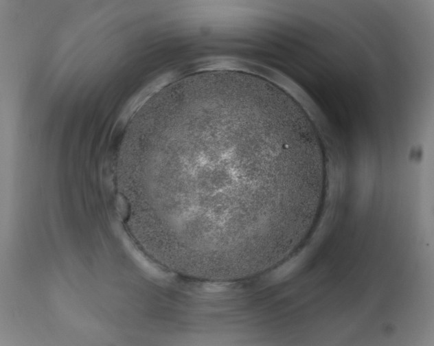 X0000110980857200906191402