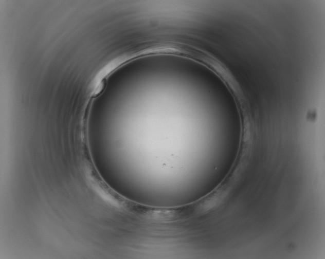 X0000110980858200906191402