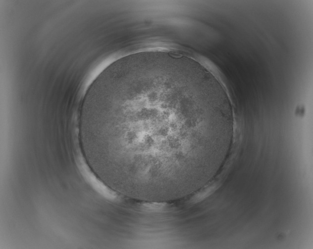 X0000110980859200906191402