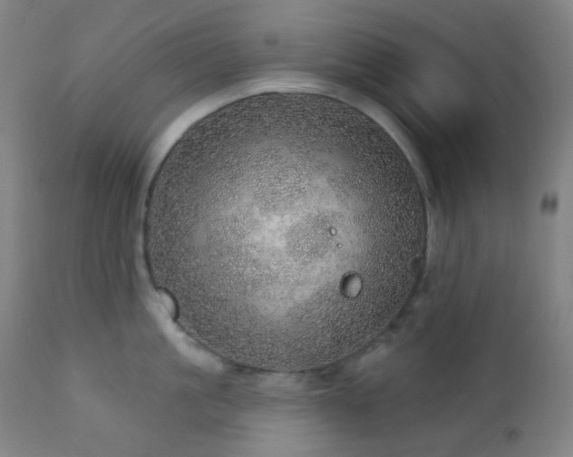 X0000110980861200906191402