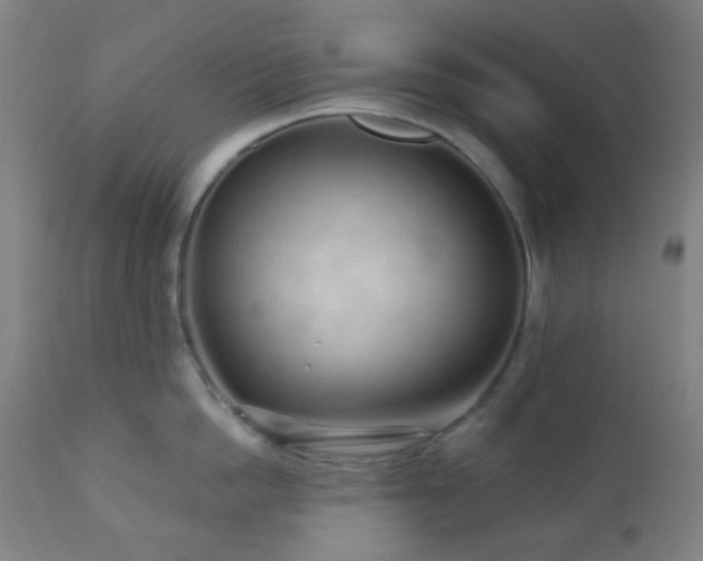 X0000110980862200906191402