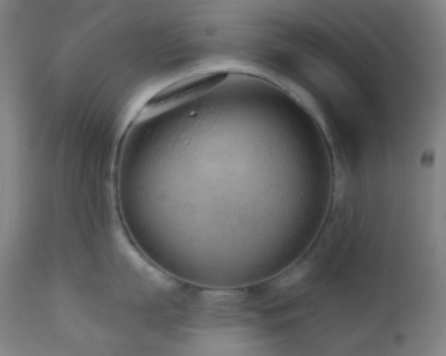 X0000110980863200906191402