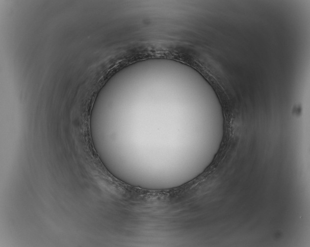 X0000110980865200906191401