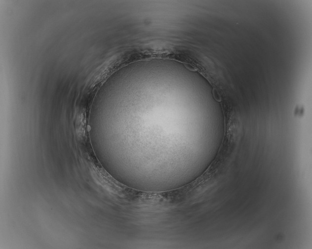 X0000110980866200906191401