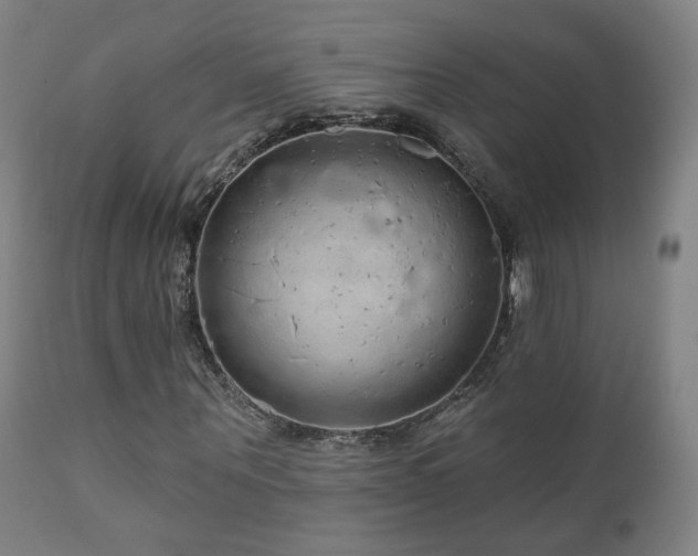 X0000110980867200906191401