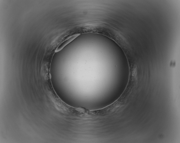 X0000110980868200906191401