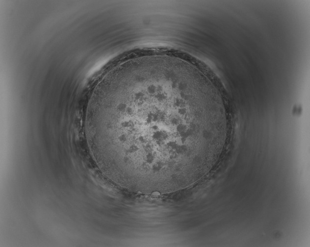 X0000110980871200906191401