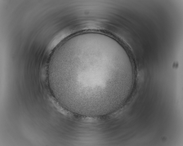 X0000110980874200906191401