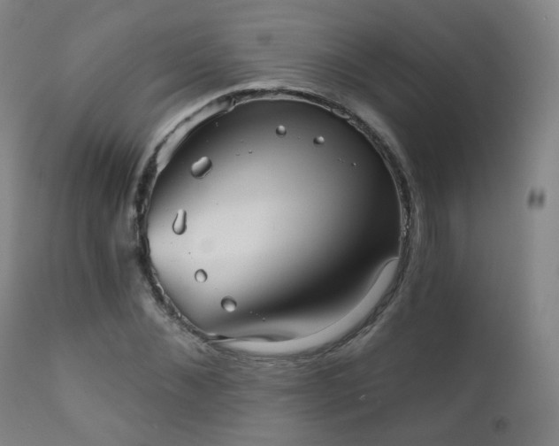 X0000110980876200906191401