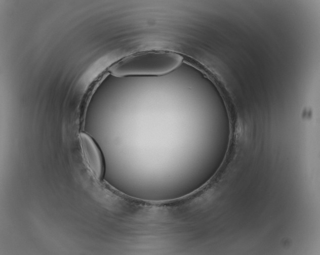 X0000110980877200906191401