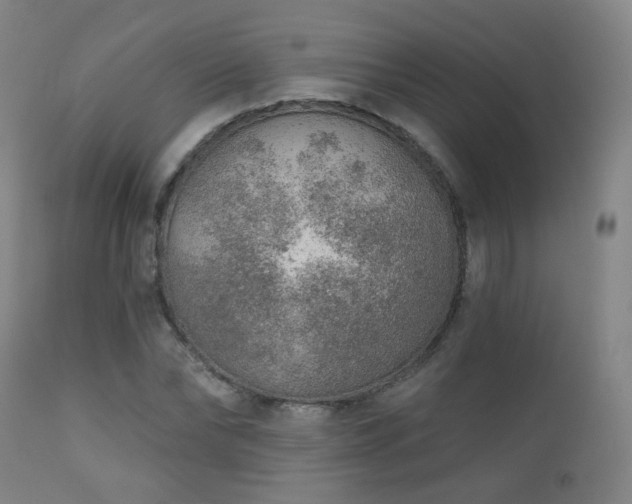 X0000110980878200906191401