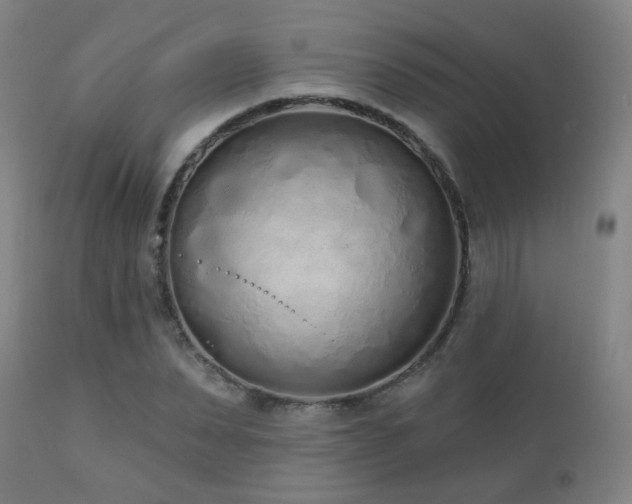 X0000110980879200906191401