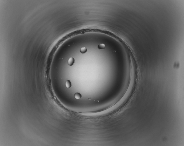 X0000110980880200906191401