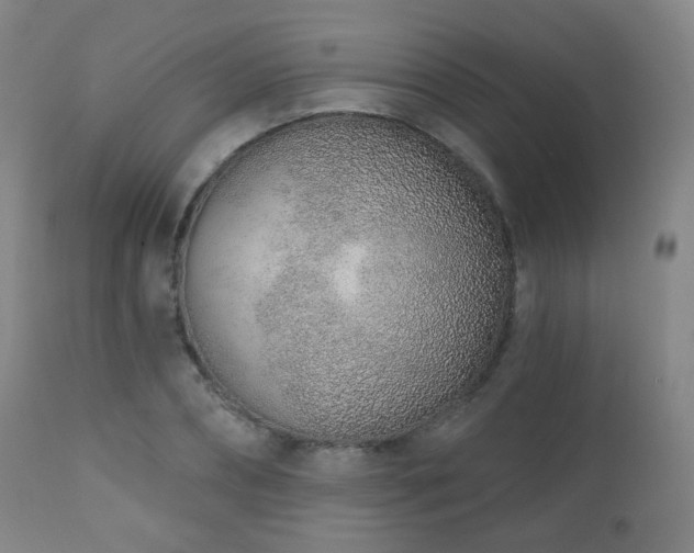 X0000110980882200906191401