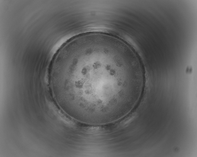 X0000110980883200906191401